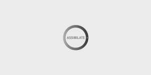 Assimilate Scratch Assimilate Scratch