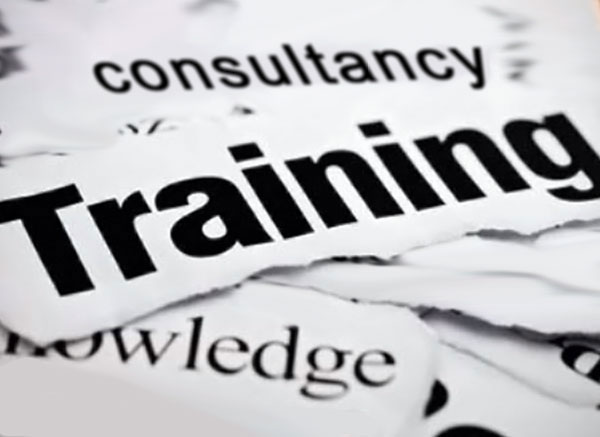 Training & Consultancy